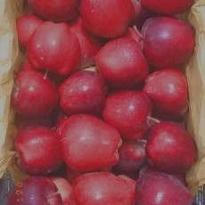 سیب زرد و قرمز اصفهان